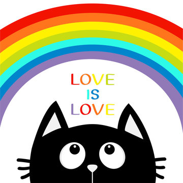 Love is love. Black cat looking up to big rainbow. Cute cartoon character. Valentines Day. Kawaii animal. Love Greeting card. LGBT sign symbol. Flat design. White background. Isolated.