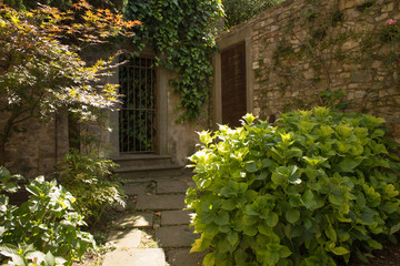 Fototapeta na wymiar Gates hidden in a street with bushy and plants