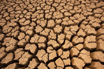 soil arid texture