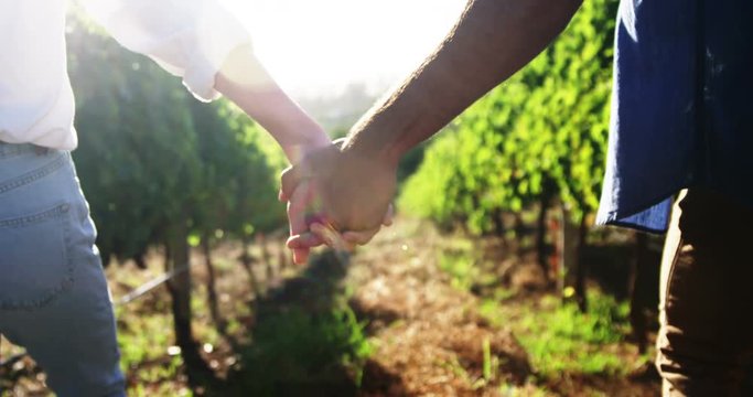 Couple holding hands while walking at vineyard