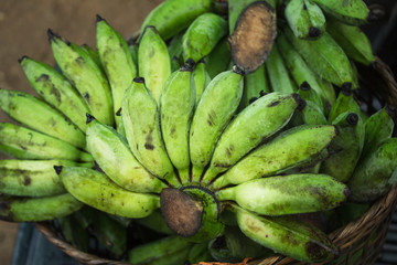 Obraz premium Fresh Cultivated banana Fresh banana green