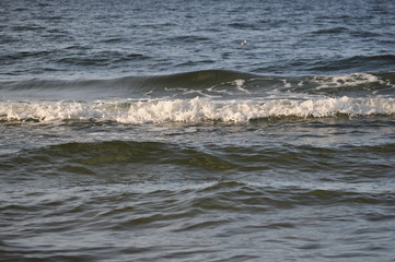 Fototapeta premium Fale