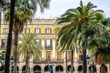 Barcelona Building Palms 