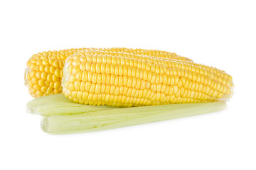 uncooked sweet corn with leaf on white background