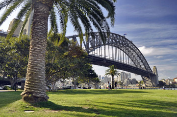 A View of Harbor Bridge in Sydney, Australia