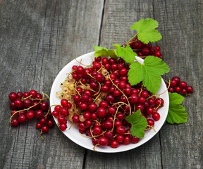 Plate with red currant
