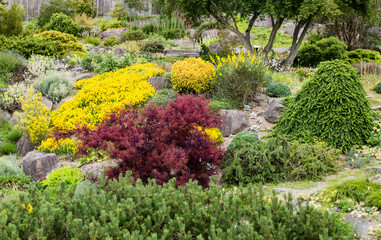 Red and Yellow Shrubs in Rock Garden