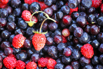 Forest berries lying on green leaves, close up.