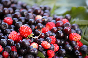 Forest berries lying on green leaves, close up.