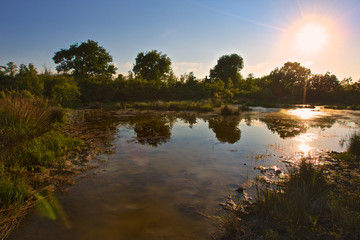Fototapeta premium Parco
