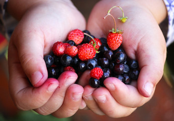 Little girl holding forest berries in open palms.