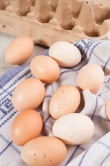 chicken eggs on dishtowels