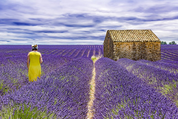 Naklejka na ściany i meble Woman in lavender field
