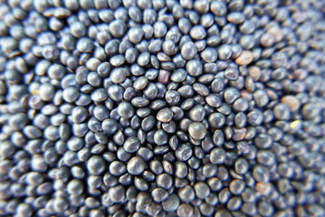Beluga Black Lentils