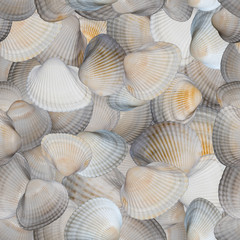 Seaslells seamless pattern