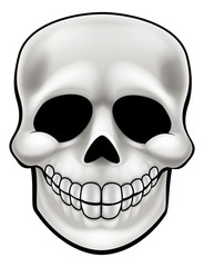 Cartoon Skull