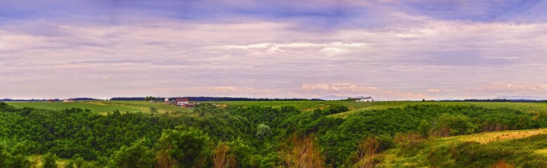 Fototapeta na wymiar Panorama with a tree hill and vineyard