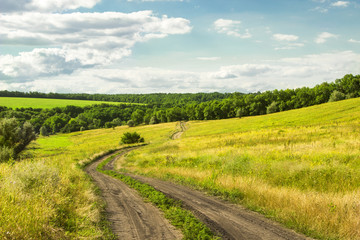 Fototapeta na wymiar A winding road near fields and forests