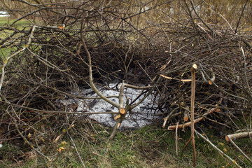 Bonfire place with tweacks.