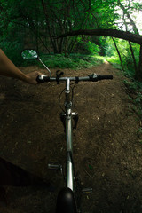 Fototapeta na wymiar A cyclist rides a bicycle along forest trails.