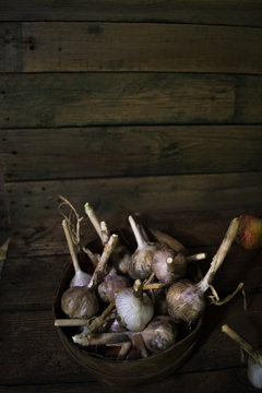 Harvest of garlic on a wooden old background.