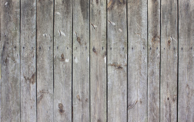 Fototapeta premium the brown wood texture with natural patterns