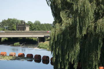 Weeping willow and church