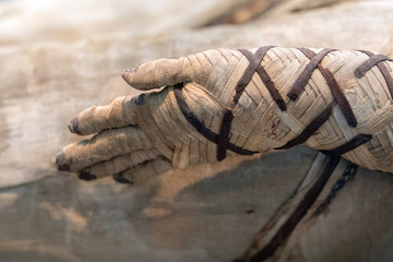 Egyptian mummy hand close up