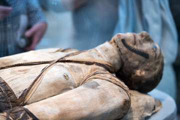 Egyptian mummy head close up