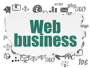 Web design concept: Web Business on Torn Paper background