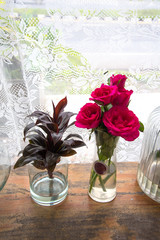 Roses flower and little tree in glass vase or pot for decoration on wood table
