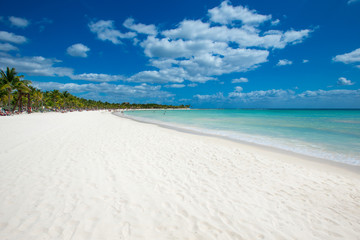 Obraz premium tropical sea