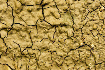 Background texture dried dried out trail from tread of car tires on ground clay close-up after rain