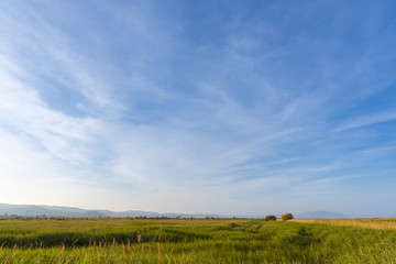 Natural park of El Prat de Cabanes  (Castellon, Spain).