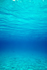 underwater scene with copy space