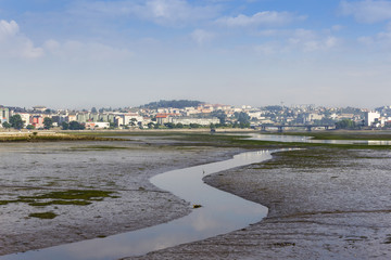 El Burgo estuary at low tide