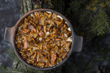 chanterelles baked in sour cream
