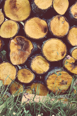 Natural wooden background, closeup of chopped firewood.