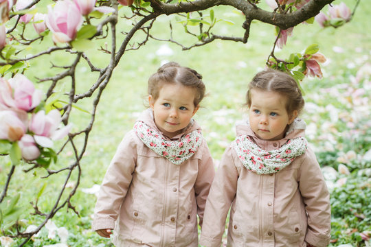 Identical twin girls under blooming magnolia