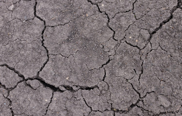 Texture background, soil soil in dry region