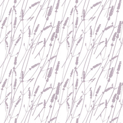  Vector floral seamless pattern with realistic lavender flowers .