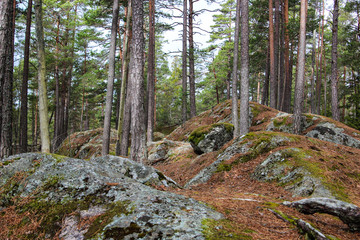 Nationalpark Tiveden in Schweden