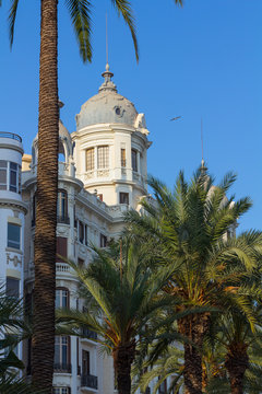 Houses and palm trees of the city of Alicante, Spain