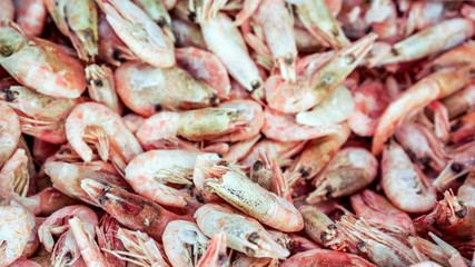 Fresh shrimp at the market for sell
