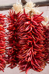 Dried red chili in New Mexico