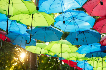 Colorful umbrellas in a park