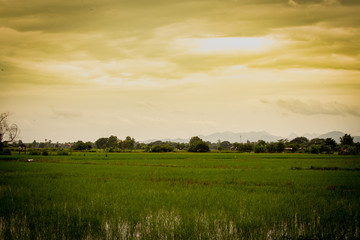 landscape in thai of asian