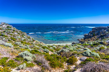 Rottnest Island