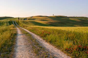 Naklejka premium Beautiful Tuscany landscape