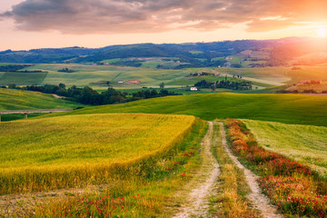 Fototapeta premium Beautiful Tuscany landscape